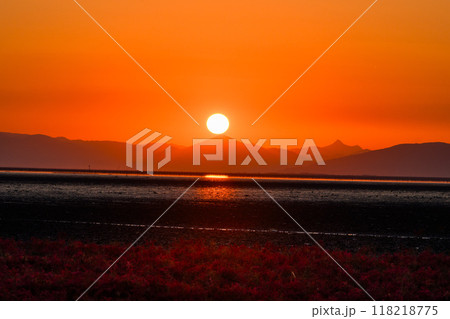 美しい夕焼け光芒を浴びているシチメンソウ風景(七面草)「東よか干潟ビジターセンターひがさす(佐賀市」 美しい夕焼け光芒を浴びているシチメンソウ風景(七面草)「東よか干潟ビジターセンターひがさす(佐賀市」 118218775