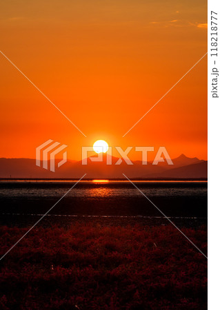 美しい夕焼け光芒を浴びているシチメンソウ風景(七面草)「東よか干潟ビジターセンターひがさす(佐賀市」 美しい夕焼け光芒を浴びているシチメンソウ風景(七面草)「東よか干潟ビジターセンターひがさす(佐賀市」 118218777