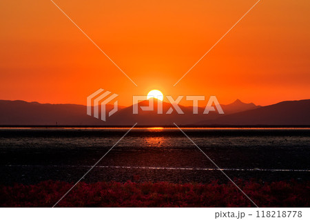 美しい夕焼け光芒を浴びているシチメンソウ風景(七面草)「東よか干潟ビジターセンターひがさす(佐賀市」 美しい夕焼け光芒を浴びているシチメンソウ風景(七面草)「東よか干潟ビジターセンターひがさす(佐賀市」 118218778
