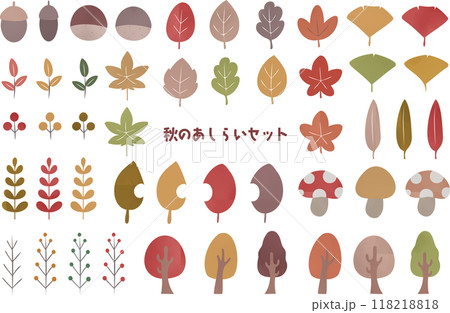 秋のあしらいセット 葉っぱ 落ち葉 植物 紅葉 イチョウ 秋のあしらいセット 葉っぱ 落ち葉 植物 紅葉 イチョウ 118218818