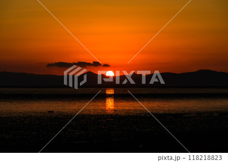 美しい夕焼け光芒を浴びているシチメンソウ風景(七面草)「東よか干潟ビジターセンターひがさす(佐賀市」 美しい夕焼け光芒を浴びているシチメンソウ風景(七面草)「東よか干潟ビジターセンターひがさす(佐賀市」 118218823