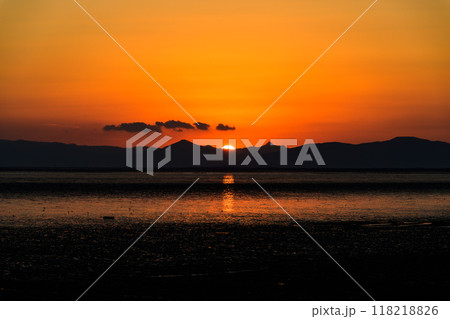 美しい夕焼け光芒を浴びているシチメンソウ風景(七面草)「東よか干潟ビジターセンターひがさす(佐賀市」 美しい夕焼け光芒を浴びているシチメンソウ風景(七面草)「東よか干潟ビジターセンターひがさす(佐賀市」 118218826