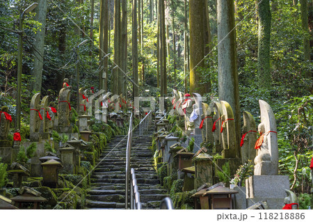 寳山寺(宝山寺)　奥の院への参道 118218886