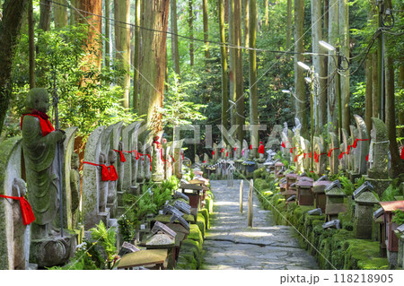 寳山寺(宝山寺)　奥の院への参道 118218905