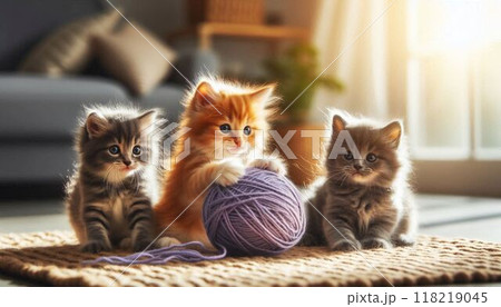 毛玉でじゃれあう子猫 毛玉でじゃれあう子猫 118219045