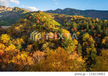 北海道 紅葉 カラフル 上富良野 美瑛 十勝岳温泉郷 青い池 十勝岳 北海道 紅葉 カラフル 上富良野 美瑛 十勝岳温泉郷 青い池 十勝岳 118219061