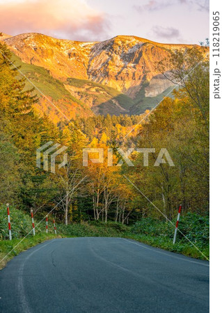 北海道　紅葉　カラフル　上富良野　美瑛　十勝岳温泉郷　青い池　十勝岳 118219065