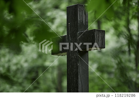 Shot through green leaves of granite memorial cross dripping with raindrops standing solemnly on grave in peaceful cemetery shaded by old tall trees, copy space Shot through green leaves of granite memorial cross dripping with raindrops standing solemnly on grave in peaceful cemetery shaded by old tall trees, copy space 118219286