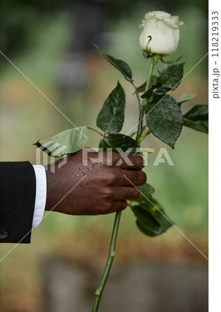 Vertical shot in gloomy tones of hand of wet with raindrops Black man holding white rose on blurred background, copy space 118219333