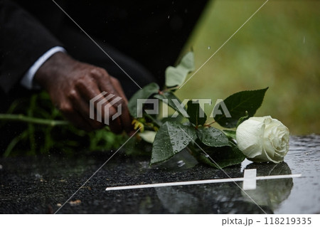 Close up on hand of Black man placing white rose on granite tombstone at graveyard in memory of departed loved one while raindrops falling on flower, copy space 118219335