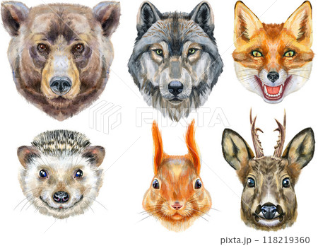 Portraits of wild animals of Eurasia. Bear, wolf, fox, roe deer, hedgehog and red squirrel 118219360