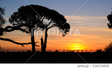 Serene Sunrise Over Cirali's Beach: A Summer Morning Serene Sunrise Over Cirali's Beach: A Summer Morning 118219830
