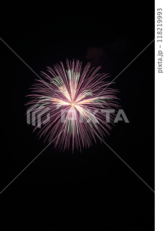 花火(片貝まつり 新潟県 小千谷市) 花火(片貝まつり 新潟県 小千谷市) 118219993