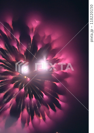夜空を照らすイメージ花火 118220150