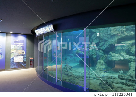ウミガメの水槽(名古屋港水族館、赤道の海、愛知県 名古屋市) ウミガメの水槽(名古屋港水族館、赤道の海、愛知県 名古屋市) 118220341