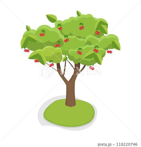 3D Isometric Flat Vector Set of Fruit Tree, Garden Plants Cultivation. Item 2 118220746
