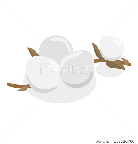 3D Isometric Flat Vector Illustration of Cotton Flower Collection, Pure and Organic Product. Item 5 118220760