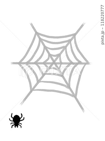 蜘蛛の巣と蜘蛛 118220777