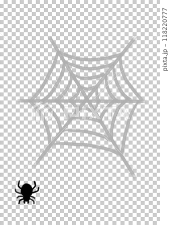 蜘蛛の巣と蜘蛛 118220777