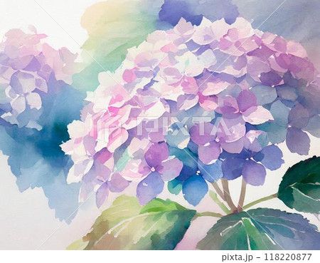 水彩画で描かれたアジサイ 118220877
