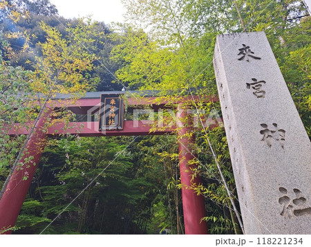 静岡県のパワースポット　来宮神社 118221234