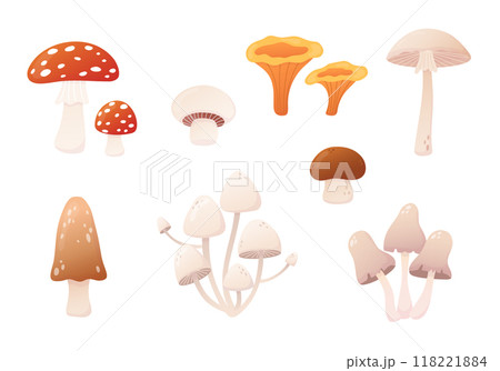 Autumn mushrooms set. Fly agaric, toadstool, chanterelles. Porcini and champignon. Poisonous and edible mushrooms. Cartoon vector illustration isolated on white. 118221884