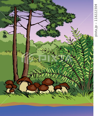 Vector drawing. Forest harvest of mushrooms Vector drawing. Forest harvest of mushrooms 118222304