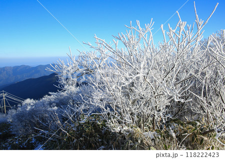 高知県仁淀川町　真冬の中津明神山　山頂付近の風景 118222423