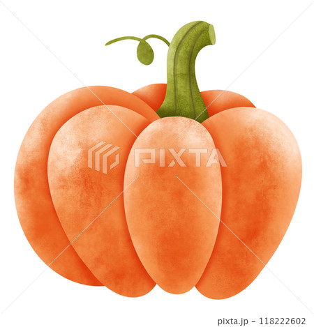 pumpkin pumpkin 118222602