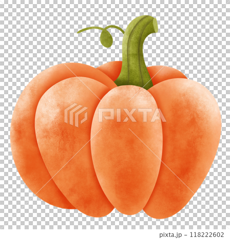 pumpkin pumpkin 118222602