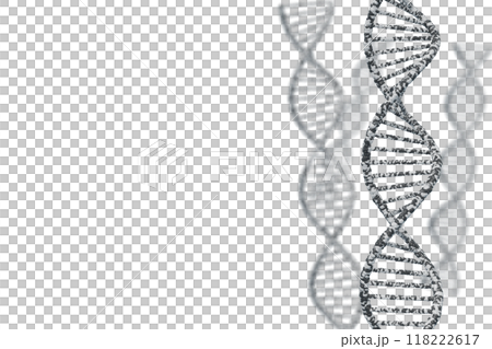 Image of double helix of DNA Image of double helix of DNA 118222617