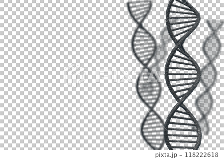 Image of double helix of DNA Image of double helix of DNA 118222618