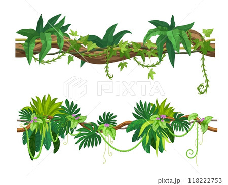 Tropical jungle rain forest liana branch with green leaves, vines and flowers. Cartoon vector dense rainforest plant with hanging intertwining roots. Tree, thicket, climbing foliage or spinney species 118222753