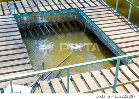 A small fish farm in a public park. 118222887