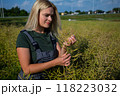 Female Farmer Examining Ripening Rapeseed Pods in a Field on a Sunny Day with Village in the Distance 118223032