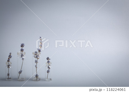 Lavender sprigs in glass test tubes staying at gray background, beauty concept of cosmetology, body and skincare, aromatherapy. Botanical natural cosmetic ingredient, space for text 118224061