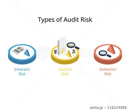 Type of audit risk for Inherent Risk, control risk, detection risk 118224988