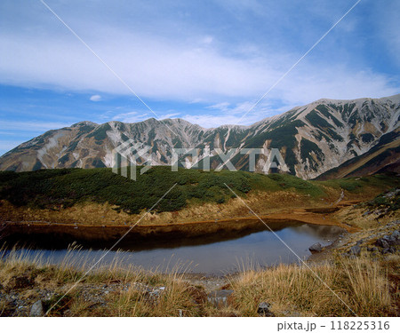 秋のみくりが池と立山連峰 秋のみくりが池と立山連峰 118225316