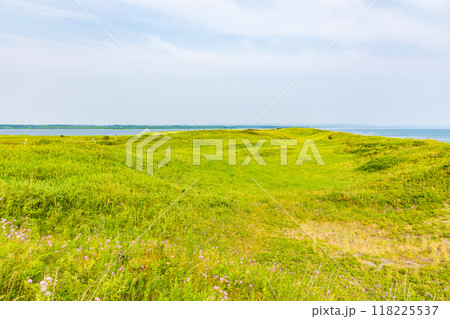 夏の北海道 オホーツク海沿岸 小清水原生花園 夏の北海道 オホーツク海沿岸 小清水原生花園 118225537