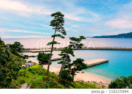金華山波止場の風景 118225894