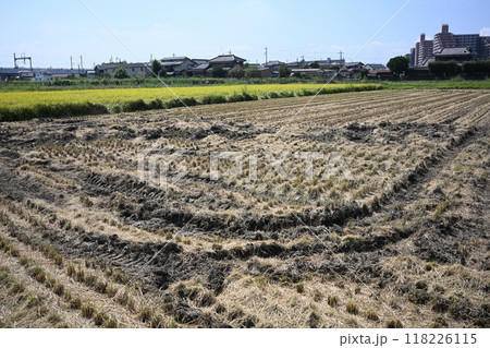 稲刈りが終わった田んぼ 118226115