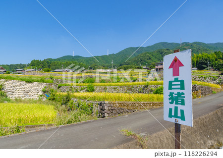稲刈り前の深野のだんだん田(三重県松阪市) 稲刈り前の深野のだんだん田(三重県松阪市) 118226294