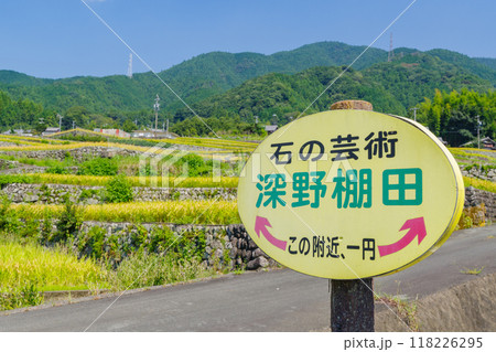 稲刈り前の深野のだんだん田（三重県松阪市） 118226295