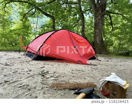 新緑の中にたつ赤いテント 新緑の中にたつ赤いテント 118226425