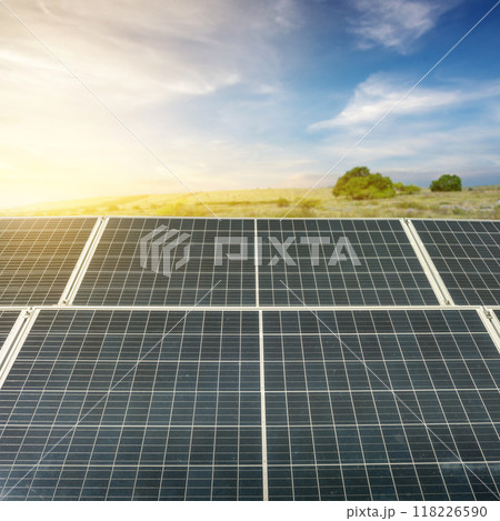 A solar panel with a blue background and a tree in the foreground A solar panel with a blue background and a tree in the foreground 118226590