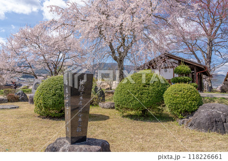 長野県飯田市 杵原学校の満開のしだれ桜と北緯と海抜を記した石柱 長野県飯田市 杵原学校の満開のしだれ桜と北緯と海抜を記した石柱 118226661
