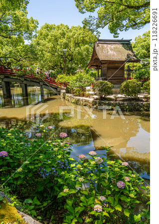 Beautiful Japanese garden and red bridge in Dazaifu Tenman-gu, shrine Beautiful Japanese garden and red bridge in Dazaifu Tenman-gu, shrine 118226691