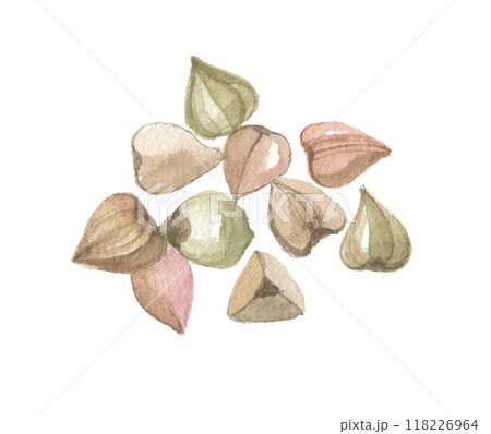 水彩で描いたそばの実 118226964