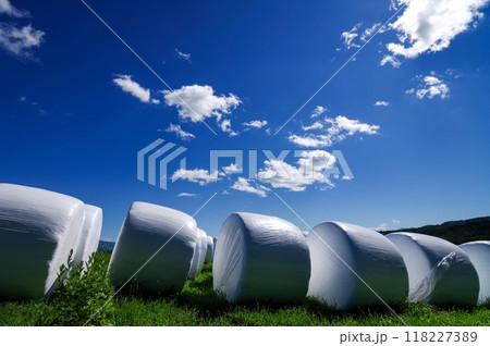 秋の陽射しが降りそそぐ牧場の風景 ( 北海道 上富良野町 ) 118227389