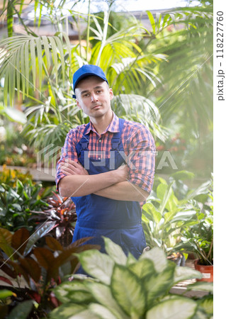 Young male seller with dieffenbachia in store 118227760